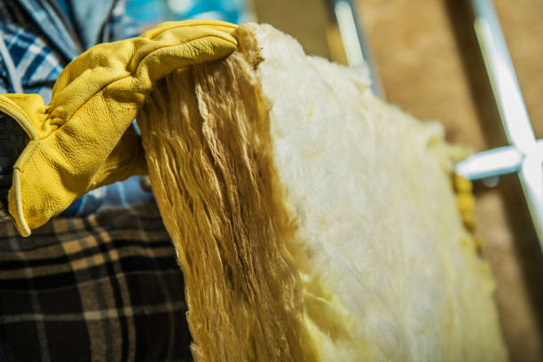 Best Spray Foam Insulation  in Lorena, TX