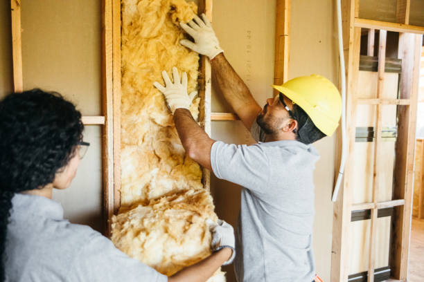 Best Professional Insulation Contractor  in Lorena, TX