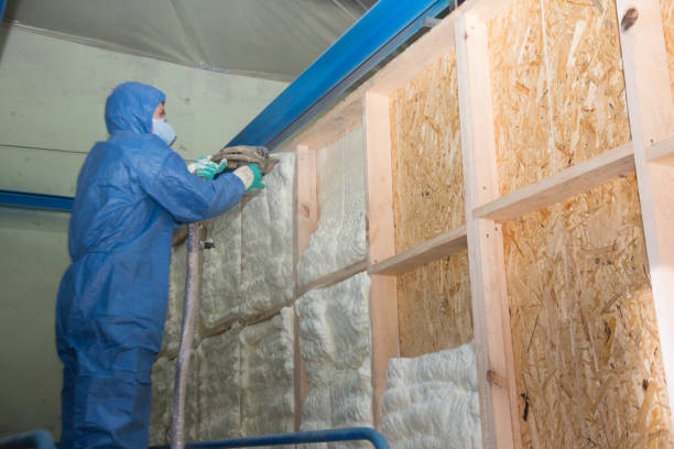Best Crawl Space Insulation  in Lorena, TX