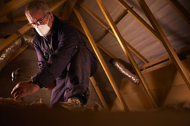 Best Wall Insulation Contractor  in Lorena, TX